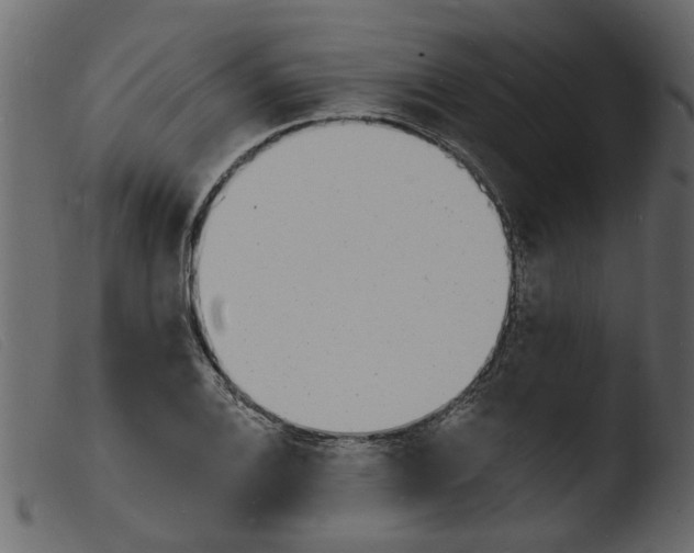 X0000103971124200810101302