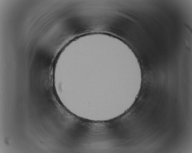 X0000103971126200810101302