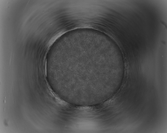 X0000103971127200810101302