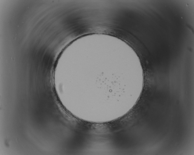 X0000103971128200810101302