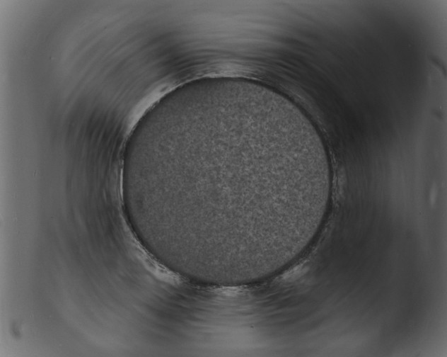 X0000103971130200810101302