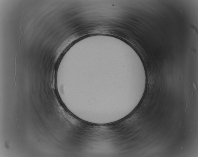 X0000103971131200810101302