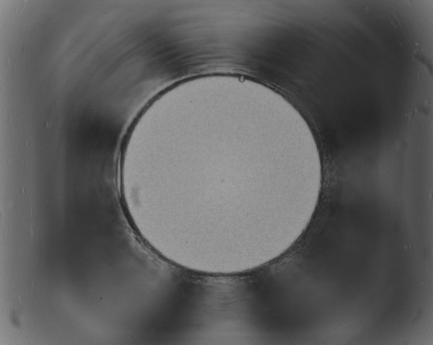 X0000103971132200810101302