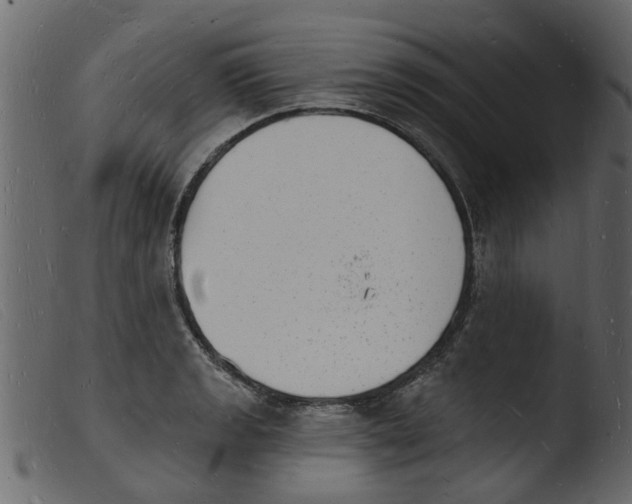 X0000103971133200810101302