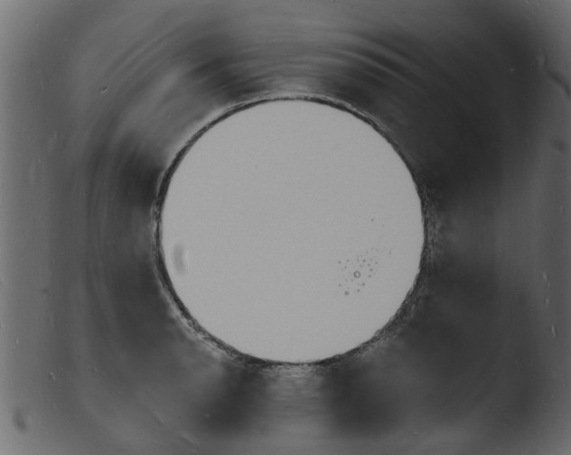 X0000103971134200810101302