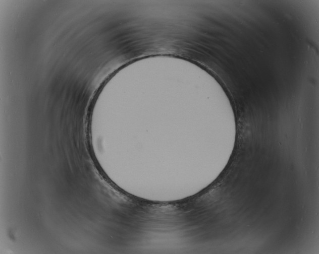 X0000103971135200810101302