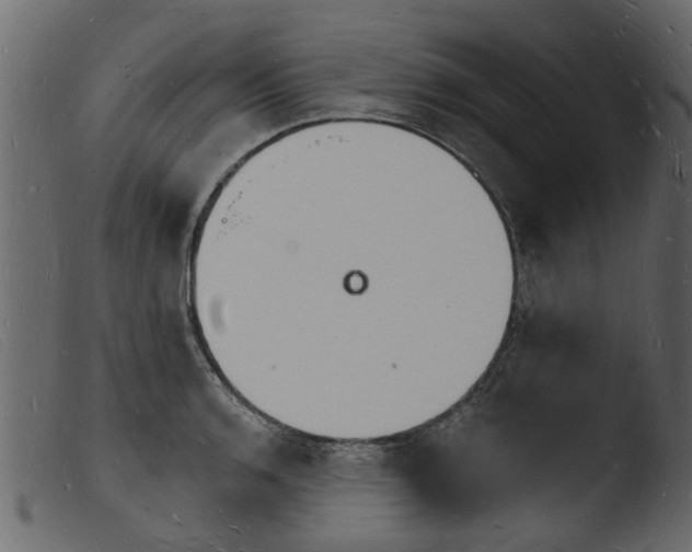 X0000103971136200810101302