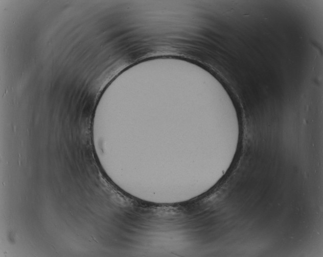 X0000103971137200810101302