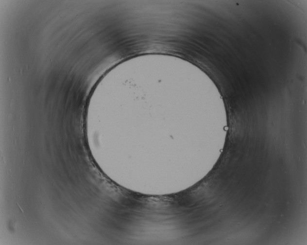 X0000103971138200810101302