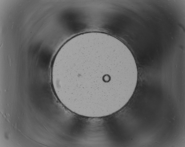 X0000103971140200810101302