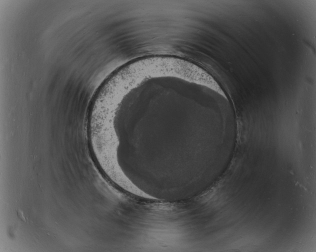 X0000103971141200810101302