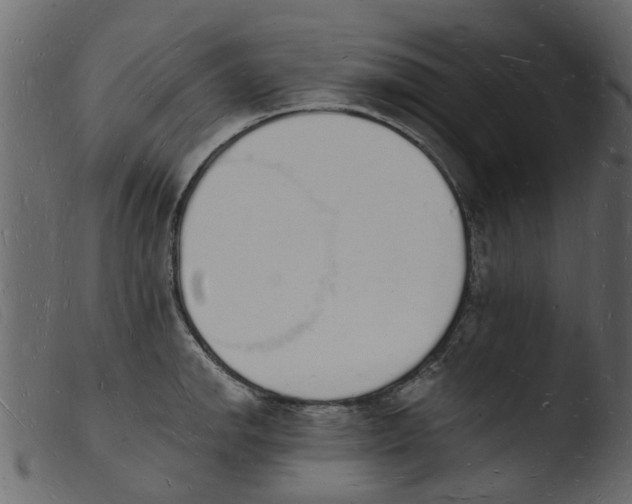 X0000103971142200810101302