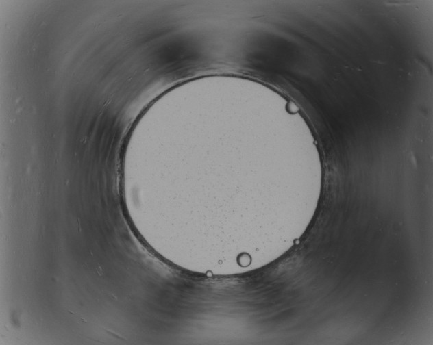 X0000103971143200810101302