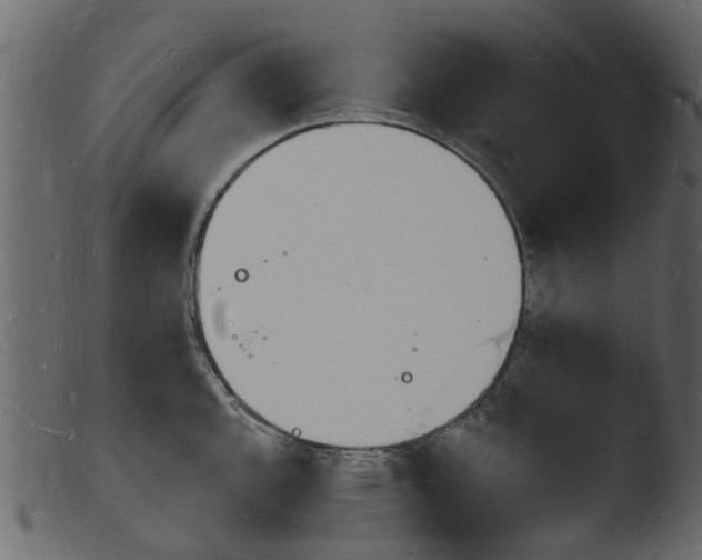 X0000103971144200810101302