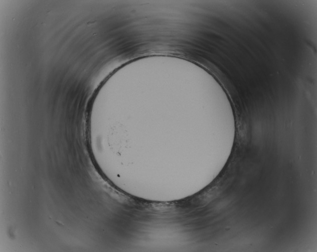 X0000103971147200810101302