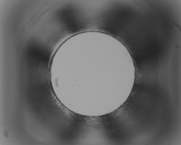 X0000103971148200810101302