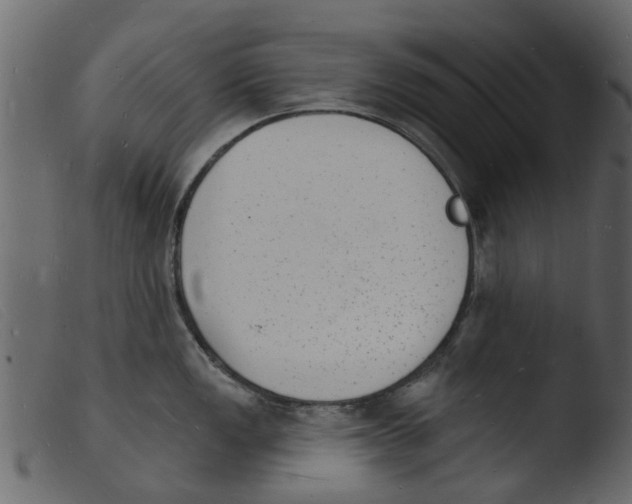 X0000103971149200810101302