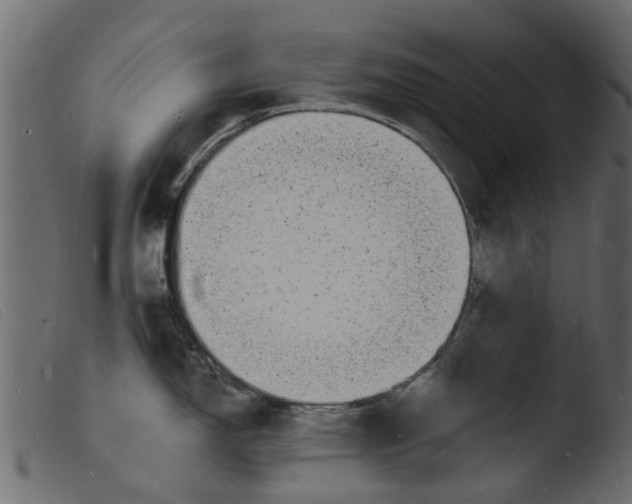 X0000103971150200810101302