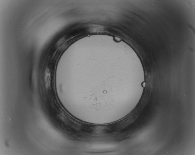 X0000103971151200810101302