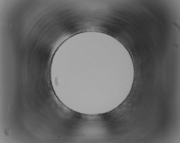 X0000103971152200810101302