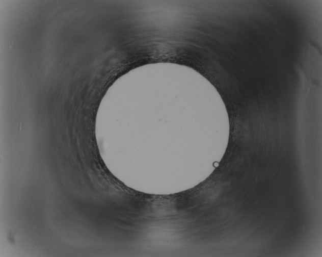 X0000103971153200810101301