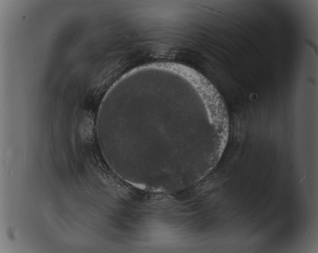 X0000103971154200810101301