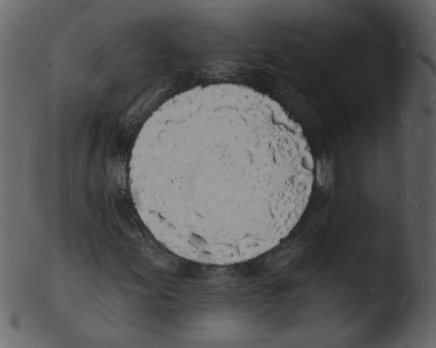 X0000103971155200810101301