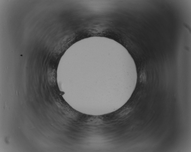 X0000103971156200810101301