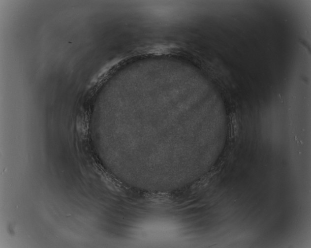 X0000103971158200810101301