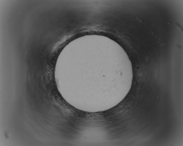 X0000103971159200810101301