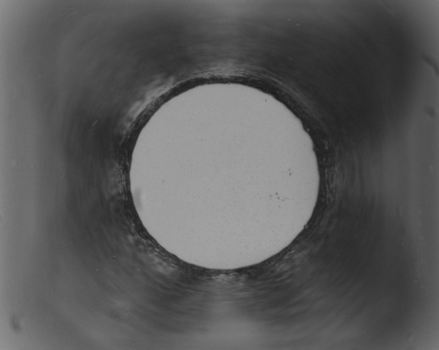 X0000103971160200810101301