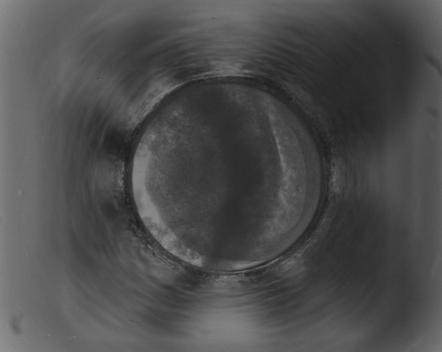 X0000103971161200810101301