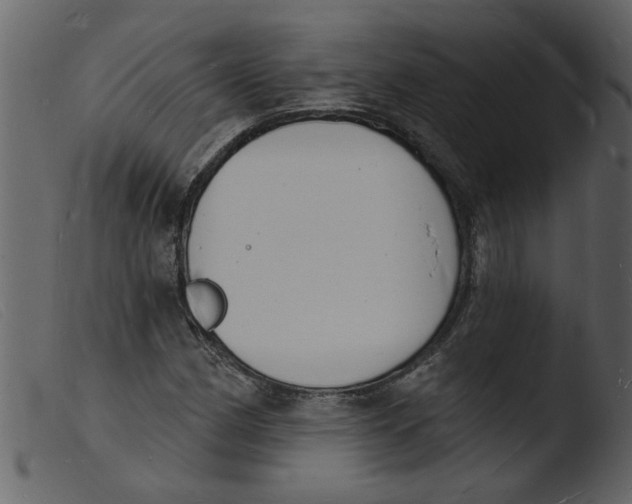 X0000103971162200810101301