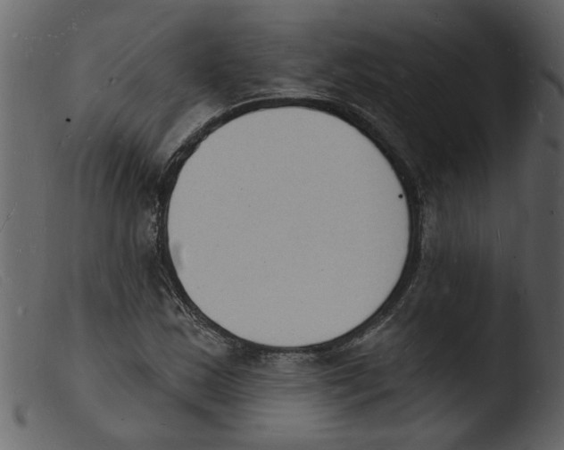 X0000103971163200810101301