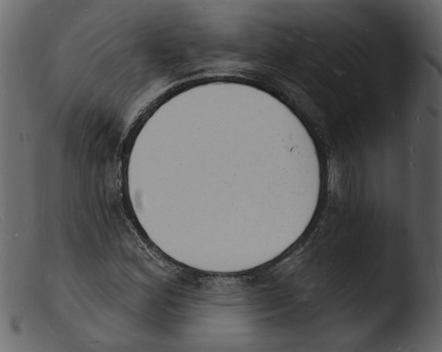 X0000103971164200810101301