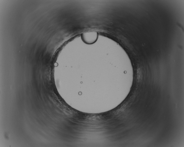 X0000103971165200810101301