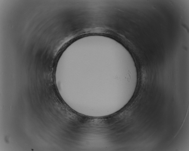 X0000103971166200810101301