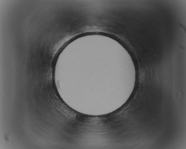 X0000103971167200810101301