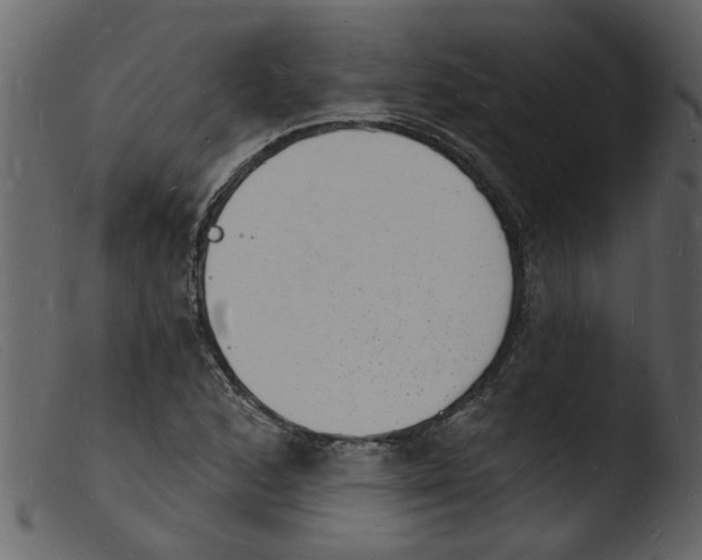 X0000103971168200810101301