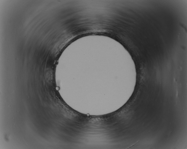 X0000103971169200810101301