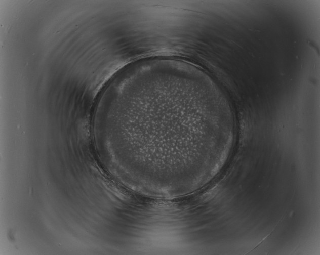 X0000103971170200810101301