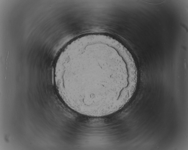 X0000103971171200810101301