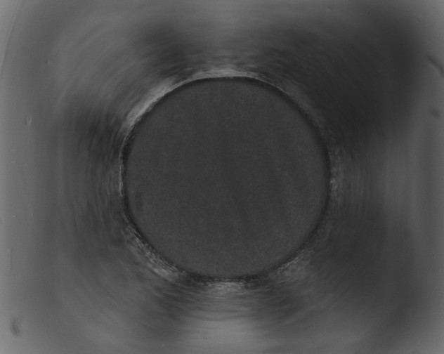 X0000103971173200810101301