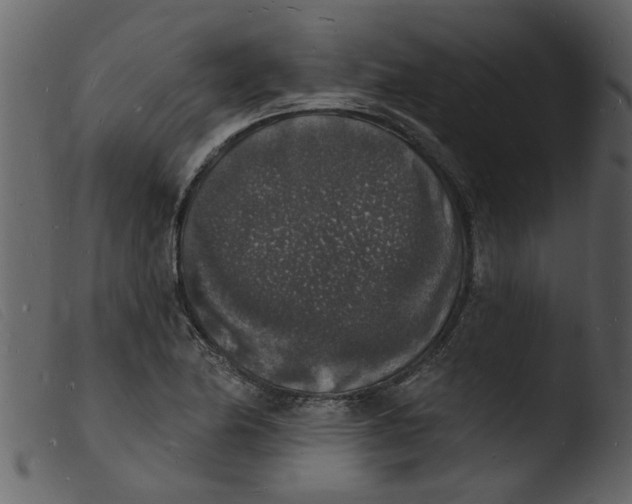 X0000103971174200810101301