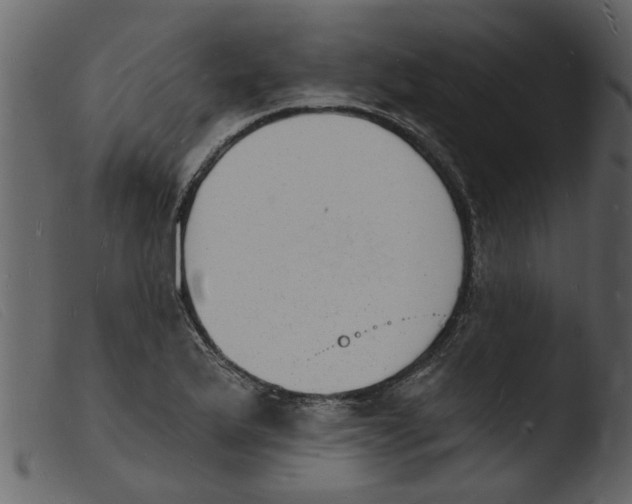 X0000103971175200810101301