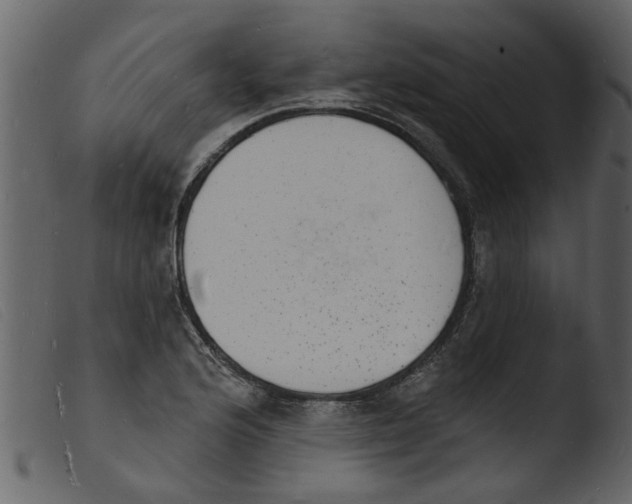 X0000103971176200810101301