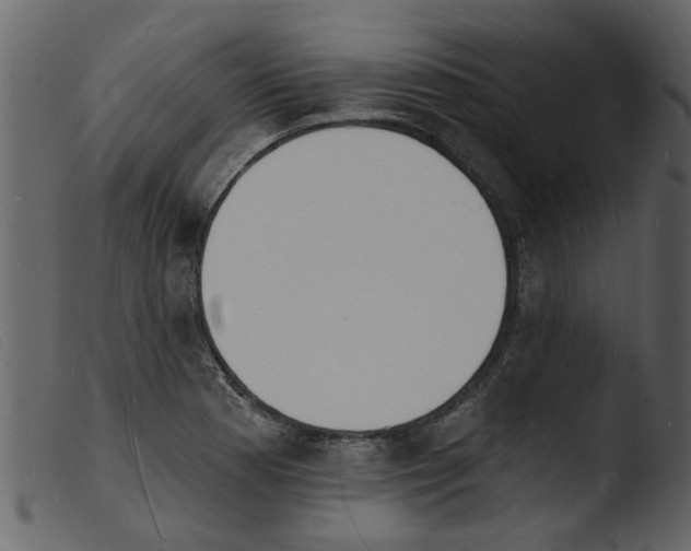 X0000103971177200810101301