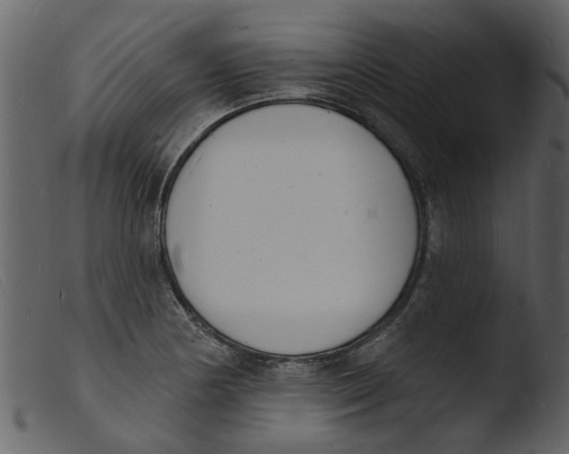 X0000103971178200810101301