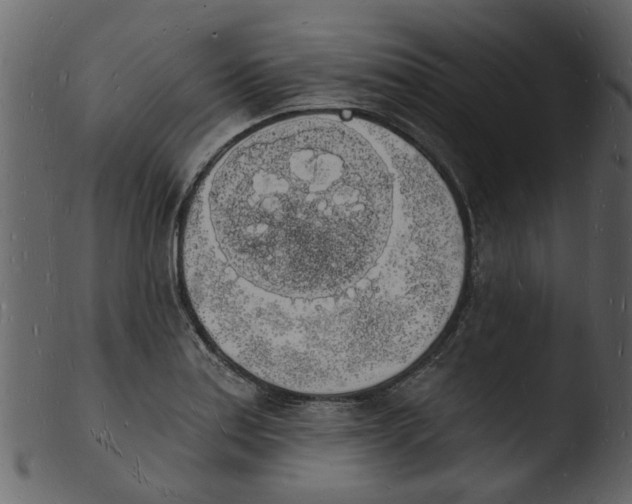 X0000103971179200810101301