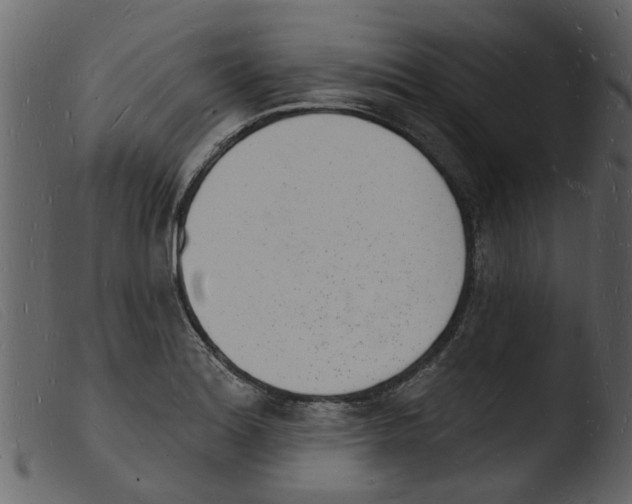 X0000103971180200810101301